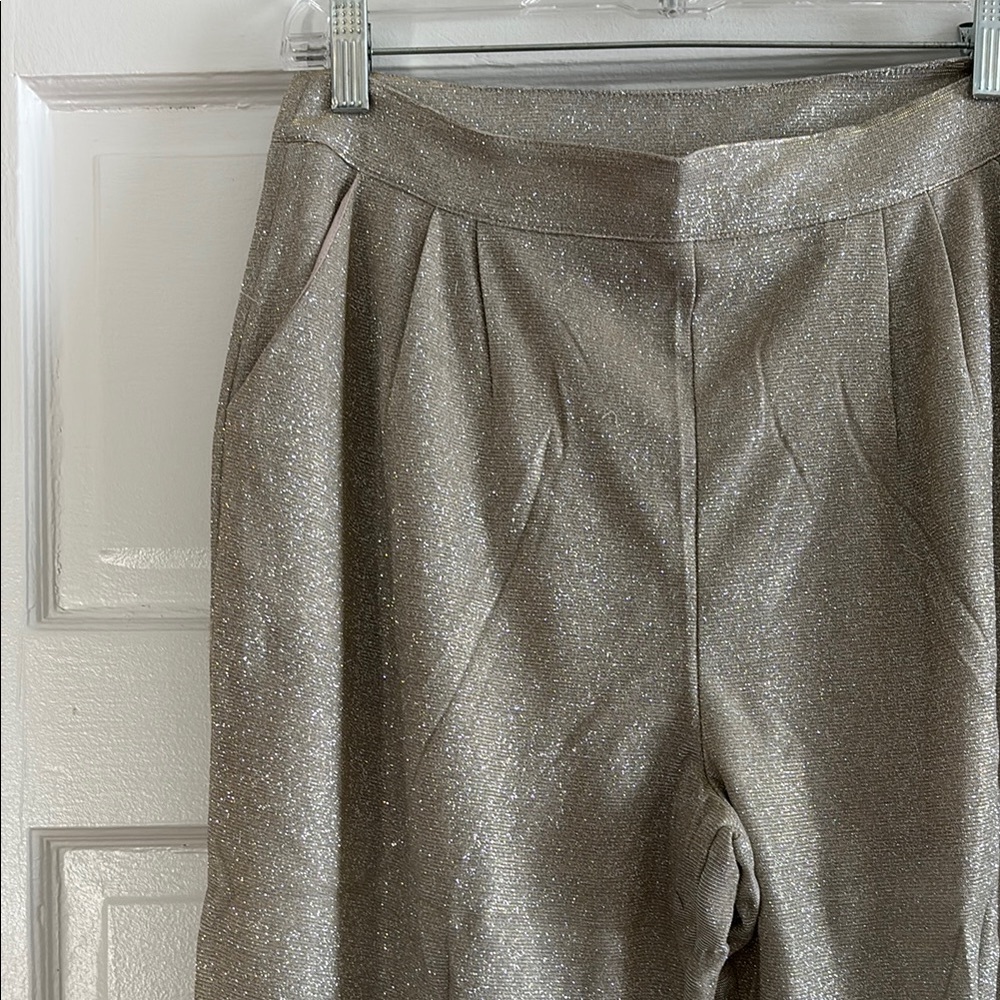 NWT Silver Pants Set - Picture 3 of 6